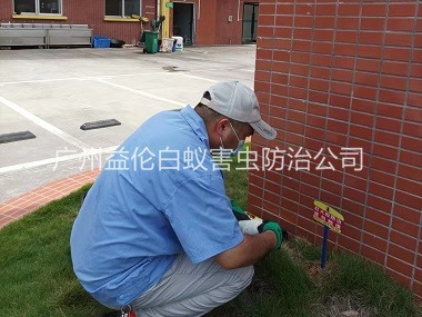 黄阁杀灭红火蚁工程
