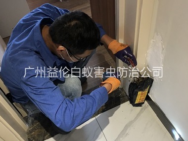 万顷沙住宅白蚁防治工程