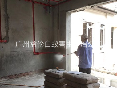 黄阁装修预防白蚁工程
