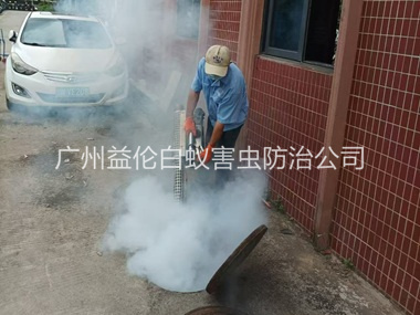 万顷沙环境蟑螂消杀工程