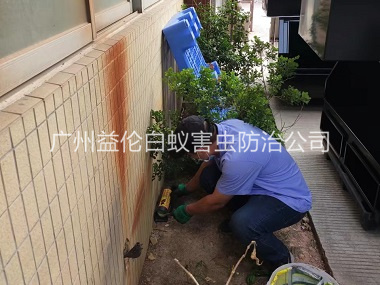 东涌投放灭鼠装置工程