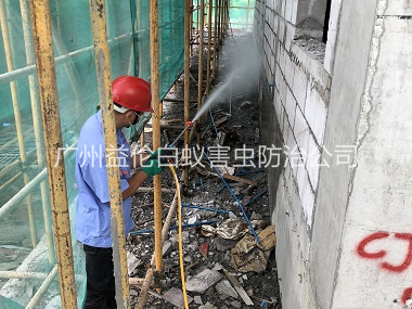 横沥建筑白蚁预防工程