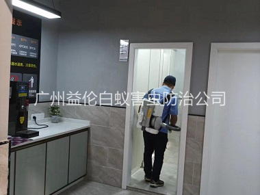 黄阁室内消杀蚊蝇工程