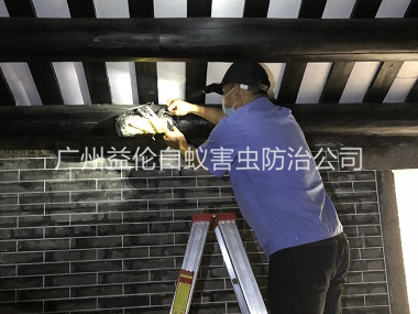 横沥祠堂杀灭白蚁工程