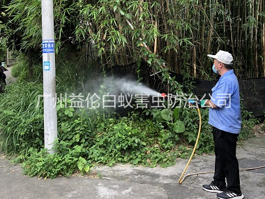 横沥有害生物消杀工程