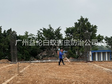 广州地基新建预防白蚁工程