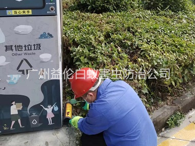 万顷沙施药灭鼠工程