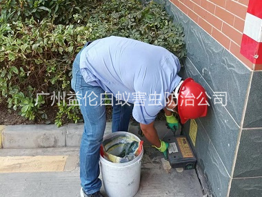 东涌安装灭鼠器工程